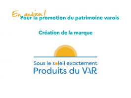 Départementales2021 : Un projet « Var en Action »