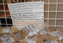 Matériel hétérogène biologique : le règlement délégué enfin publié mais des questions toujours en suspens