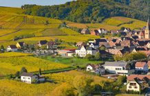 Immobilier : un service d’estimation gratuit