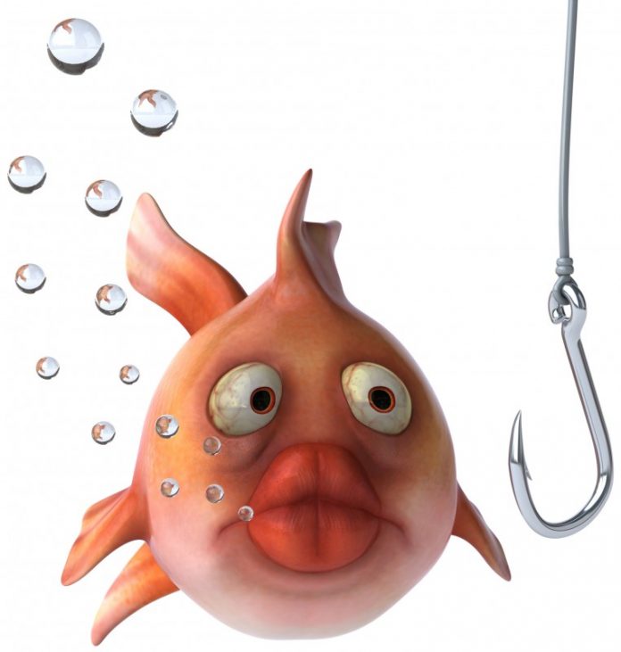 800x600_121792-poisson_et_hamecon_julien_tromeur