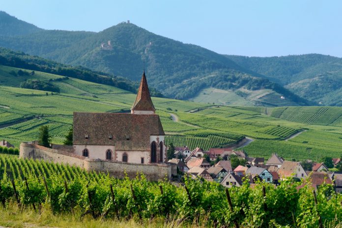 DET173-ROUTE-VINS