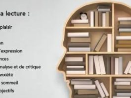 Un livre pour Noël 2025