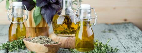 vivez-provence_5603937_1