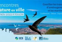 Toulon : « Nature en ville »