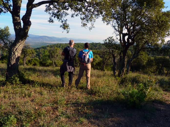 5dde149312c428f43fc3b53a3d9f67048dfa2988e16f525c894df52f32bbde68