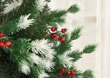 Comment bien choisir son sapin de Noël ?