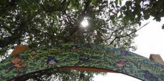 Randonnée La forêt de Fox Amphoux