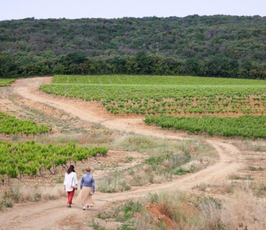 Randonnée Sentier Vigneron au Domaine de Cantarelle à Brue Auriac