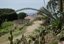 Le Rayol Canadel : La Fête des Plantes méditerranéennes