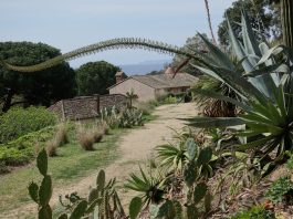 Le Rayol Canadel : La Fête des Plantes méditerranéennes