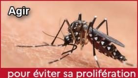 Toulon Provence Méditerranée : Moustique tigre, la lutte commence dans notre jardin !