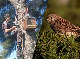 imresizer-1710955207933