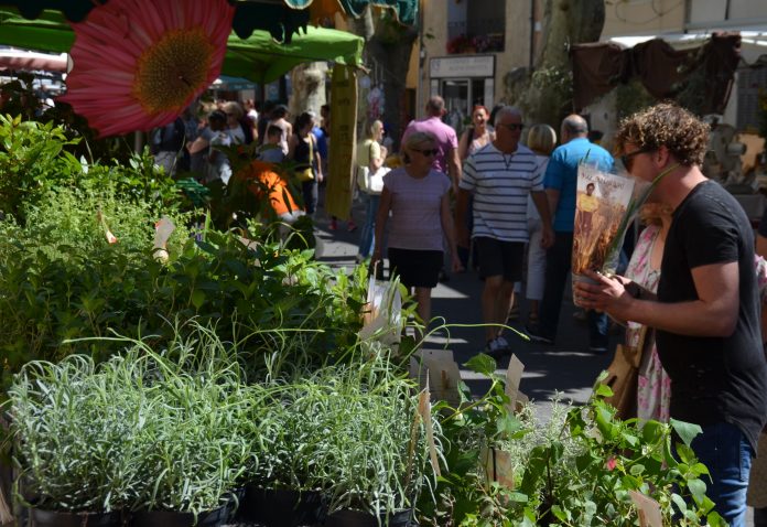 Fête du Terroir Garéoult (1)