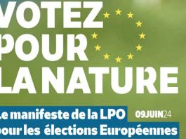 Élections européennes : nos 20 propositions pour la biodiversité