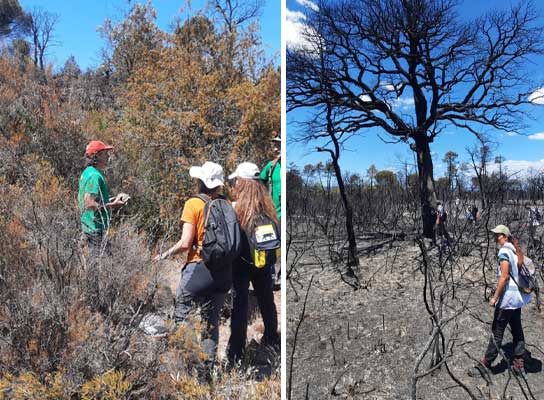 vidaubon_-_audrey_dubern_NEWS