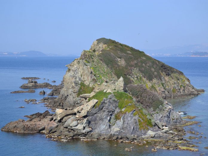 66bf2b81e9738ca499bb9e77