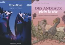 Des livres et vous Jeunesse