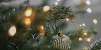 Provence Méditerranée : Un Noël Provençal