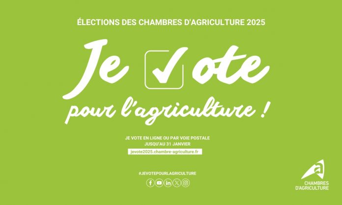 Visuel actualite - election 2025