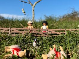 Ollioules : Foutue Bergerie Pierre Guillois