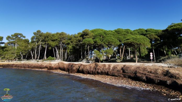 zphoto 1 Plage sainte-asile Banquette IMG_20191109_104549