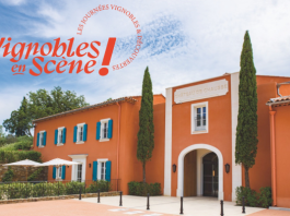 La Croix Valmer : Vignobles en Scène