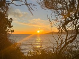 La Croix-Valmer : invitation à la découverte