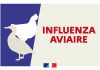 Var : Confirmation d’un foyer d’influenza aviaire dans la faune sauvage