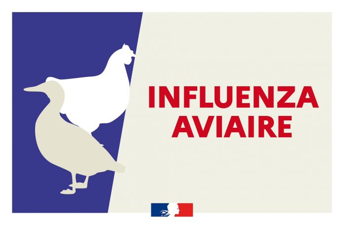 Influenza-aviaire-premier-cas-detecte-dans-l-Allier