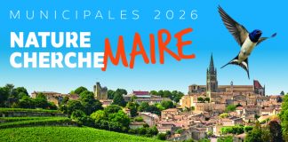 Municipales 2026 : la nature entre en campagne