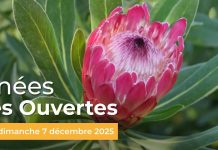 Le Rayol Canadel : Journées Portes Ouvertes au Domaine du Rayol