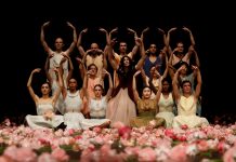 Ollioules : Nelken — Les Œillets de Pina Bausch