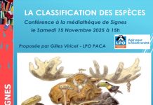 Signes : La Classification des espèces