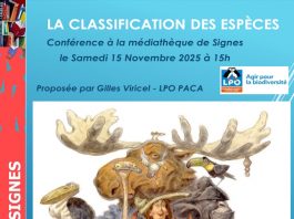 Signes : La Classification des espèces