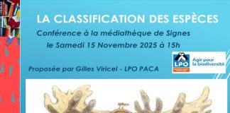Signes : La Classification des espèces