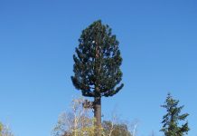 Néoules – La Roquebrussanne : NON à l’antenne-relais