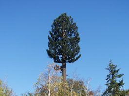 Néoules – La Roquebrussanne : NON à l’antenne-relais