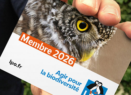 NEWS-carteadherentlpo2026