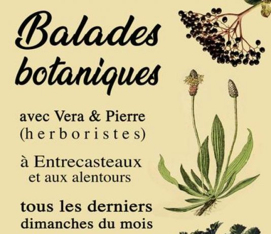 Entrecasteaux : Balade botanique commentée