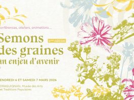 Dracénie : Semons des graines, un enjeu d’avenir