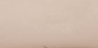 Hyères : Napoléon Bonaparte au siège de Toulon