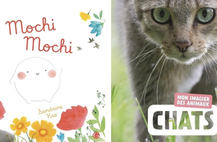 Des livres et vous Jeunesse