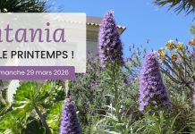 Le Rayol Canadel : deuxième édition de Printania