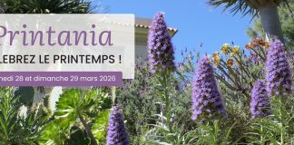 Le Rayol Canadel : deuxième édition de Printania