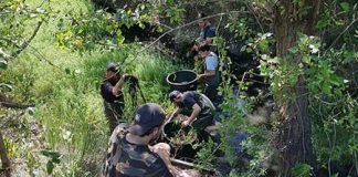 Hyères : Les étangs de Sauvebonne – le retour de la biodiversité