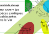 Var : Prévention et lutte contre les espèces exotiques envahissantes dans le département