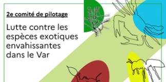 Var : Prévention et lutte contre les espèces exotiques envahissantes dans le département