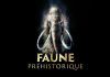 Saint-Raphaël : Faune préhistorique