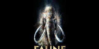 Saint-Raphaël : Faune préhistorique