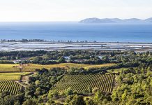 Hyères : 20e édition de la fête de la nature